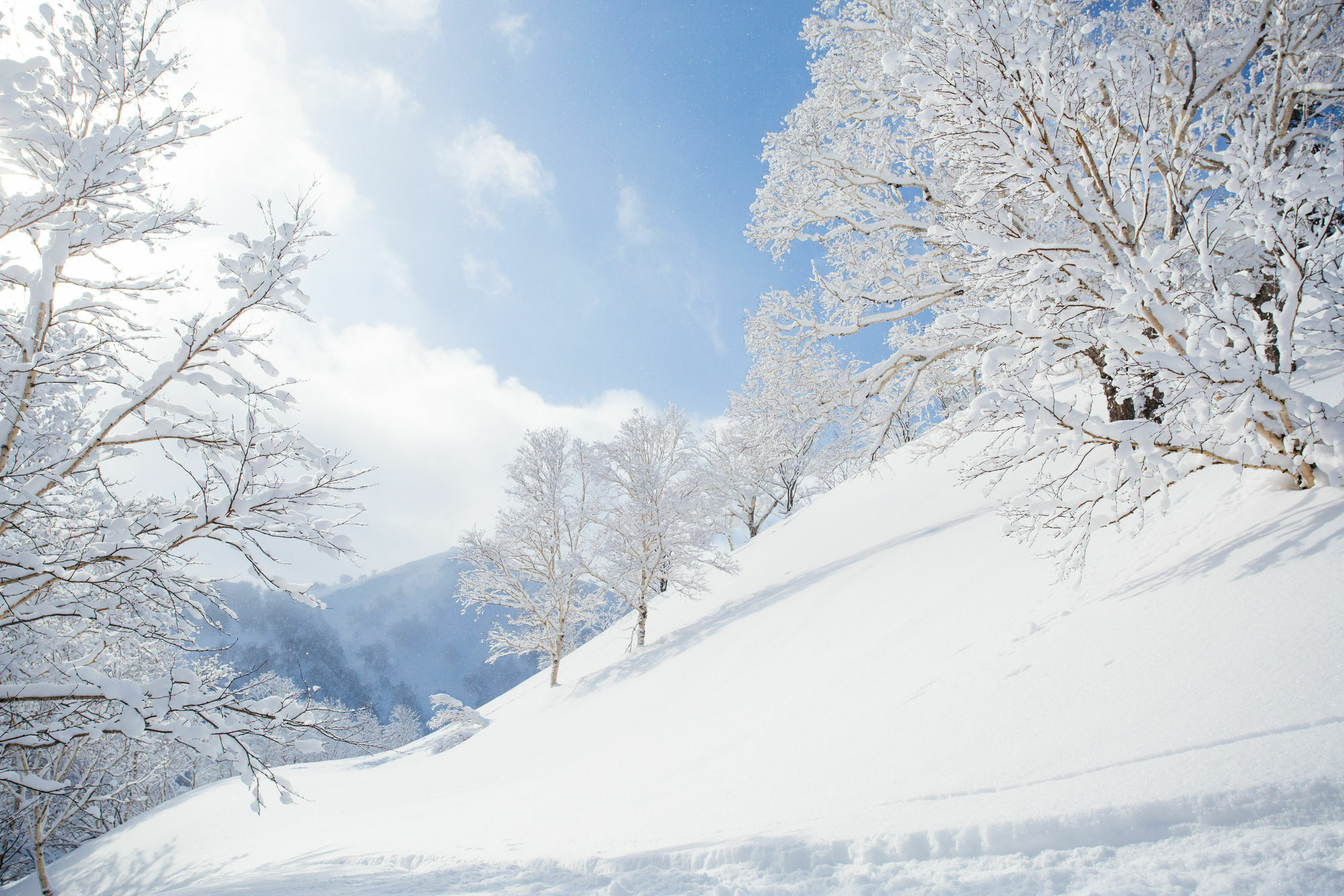 Pension Alice Niseko Buitenkant foto
